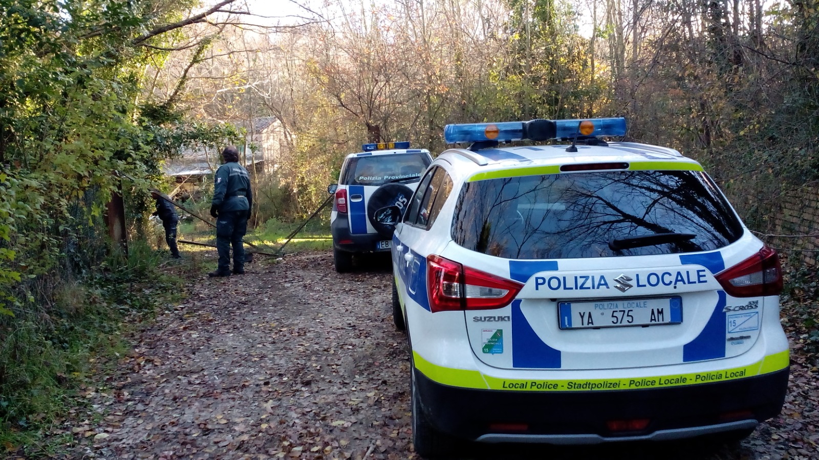 Teramo Piano Di Contenimento Abbattuto Un Cinghiale Nella Zona Della