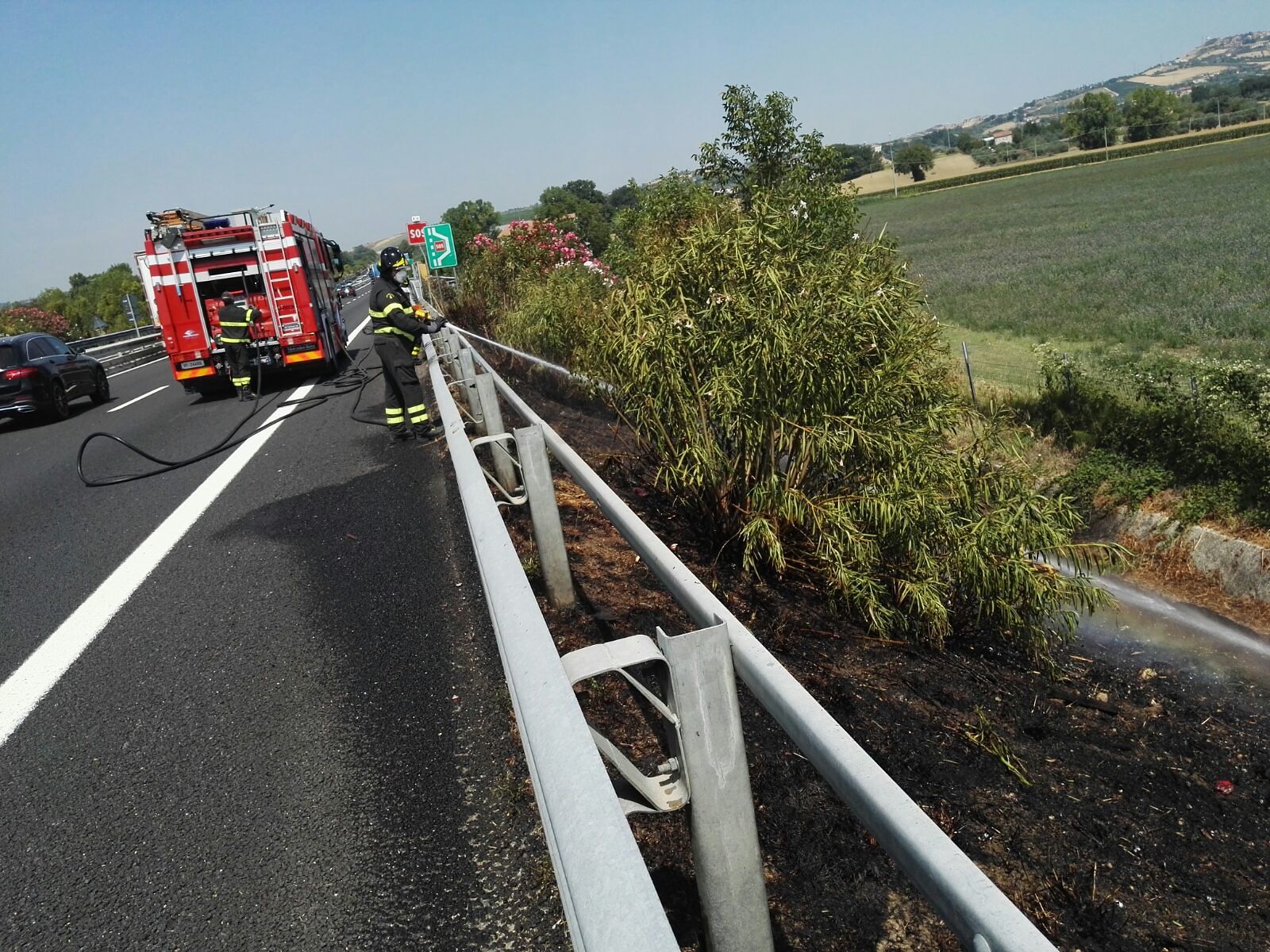 Roseto, incendio di sterpaglie lungo l'A14 - Ultime ...