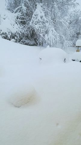 Neve, a Orsogna 600 famiglie senza corrente elettrica