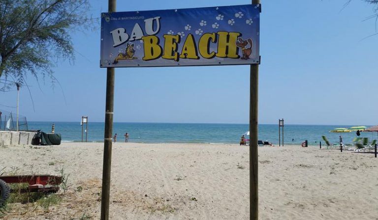 Martinsicuro, nelle “bau beach” i cani potranno fare il bagno: la novità