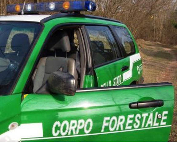 Forestali, sentenza a sorpresa del Tar Abruzzo: Riforma rinviata alla Consulta