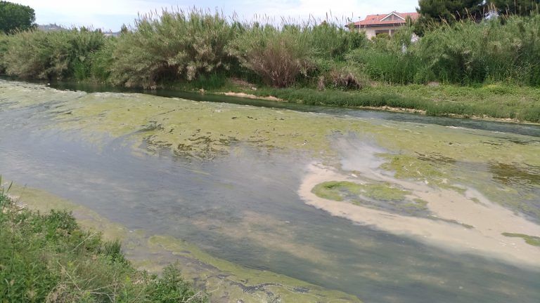 Alba Adriatica, inquinamento del Vibrata. Forum H2O: albergatori poco informati