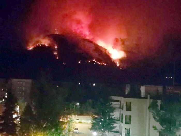 Abruzzo in fiamme, WWF: ‘Il rimboschimento è una scelta sbagliata’