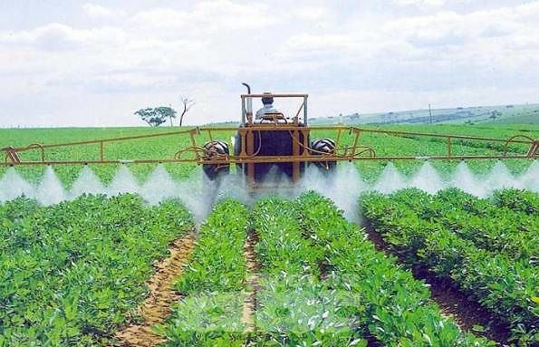 Attenzione al Glifosato, pesticida cancerogeno tra i più utilizzati in Abruzzo