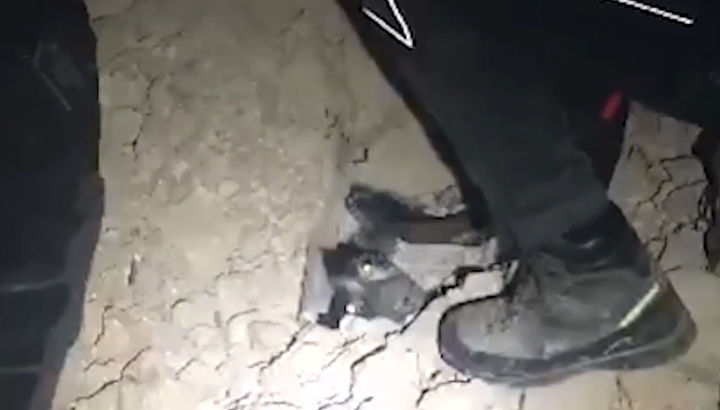 Norcia: vigili del fuoco salvano cane intrappolato sotto le macerie – VIDEO