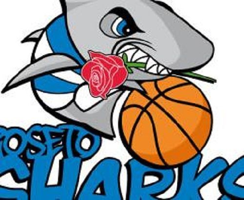 Basket, il Roseto Sharks si scusa con il Campli per il dopogara del Memorial Di Annunzio