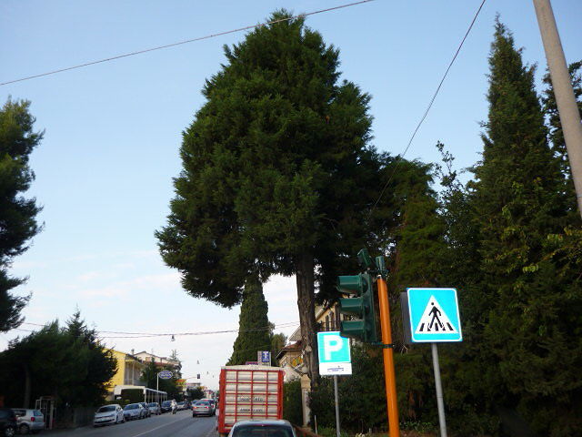 Giulianova, niente file sulla ss80: semaforo di Colleranesco disattivato nel weekend