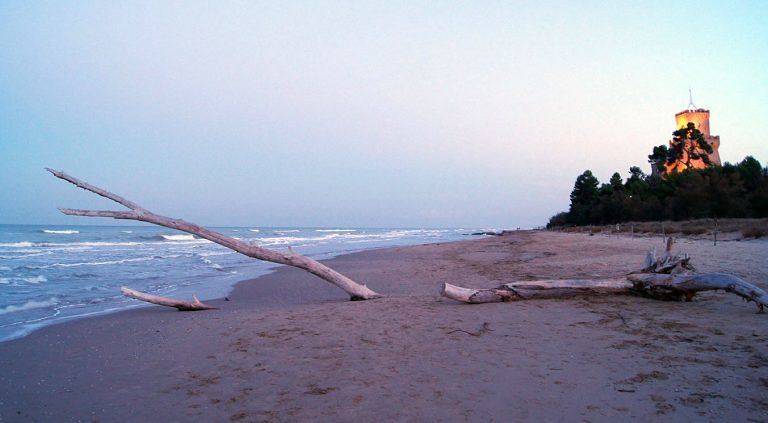 Parco Cerrano, spiaggia pulita a mano per non disturbare il fratino