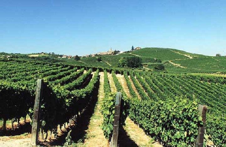 Abruzzo, nuovo sistema autorizzazione degli impianti vitivinicoli
