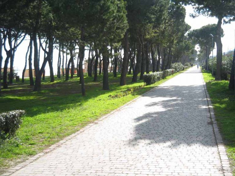 Pineto, Pallini a Mantini: “Il piano demaniale è un regalo per la nostra pineta”