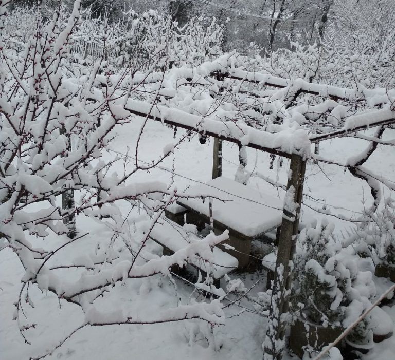 Maltempo, il Burian porta ancora neve e gelo in Abruzzo