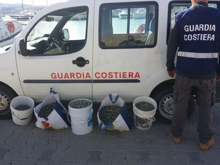 Pescara, la Guardia Costiera sequestra oltre 130 kg di vongole