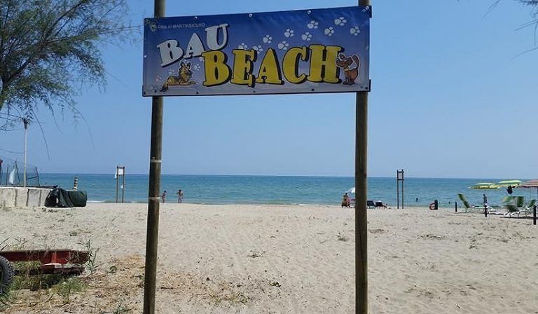 Martinsicuro, cani in spiaggia: ecco le regole per l’estate