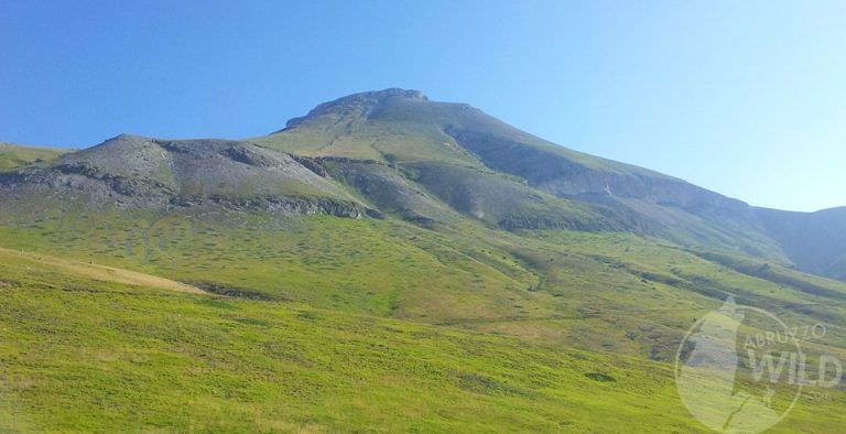 L’Aquila, Abruzzo Wild: esperienza indimenticabile sul Monte Camicia | Domenica 10 giugno