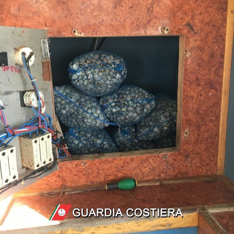 Giulianova, vongole nascoste nel quadro elettrico del peschereccio: scatta il sequestro FOTO