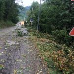 Maltempo nel Teramano: allagamenti e alberi caduti a Campli, Civitella e Teramo FOTO/VIDEO