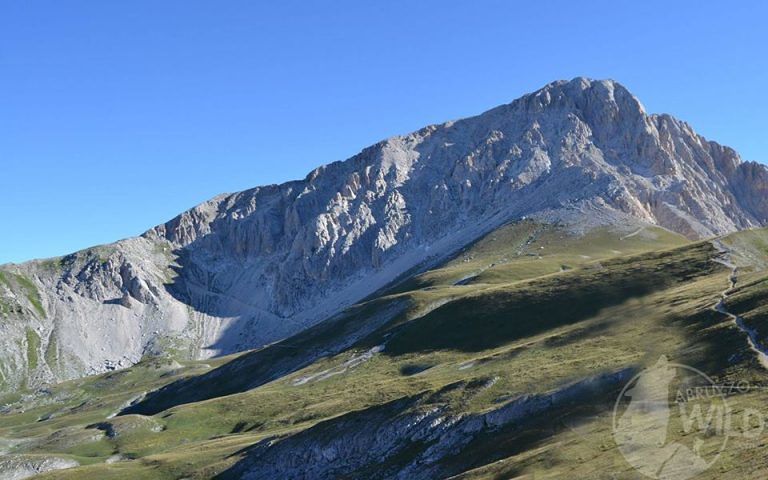 Una salita sulla vetta più alta dell’Appennino con Abruzzo Wild | Sabato 1 settembre