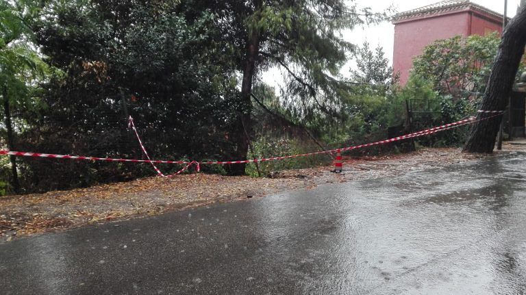Giulianova, smottamento in via Veneto a seguito dell’abbondante pioggia (FOTO)