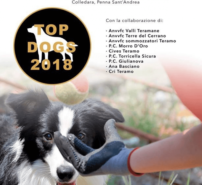 Esercitazione nazionale dei cani per le emergenze nella vallata del Vomano