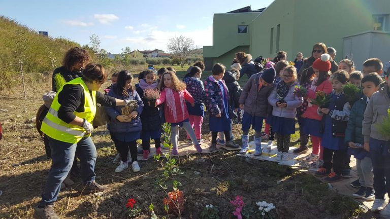 Castellalto: nuove piante nella scuola primaria di Petriccione, nel giorno della Festa dell’Albero FOTO