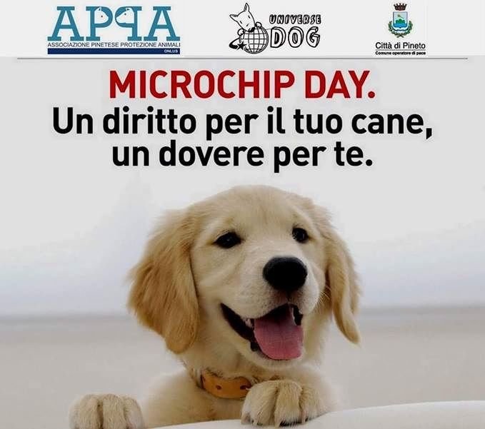 A Pineto e Silvi microchippatura gratuita dei cani
