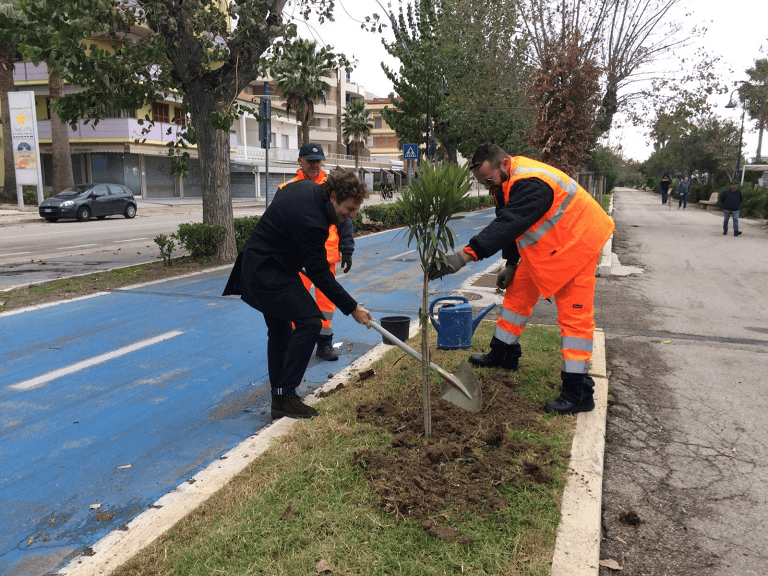 Alba Adriatica, “alberi per il futuro”: piantati 10 oleandri sul lungomare FOTO