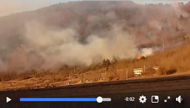 Navelli, a fuoco 20 ettari di bosco VIDEO