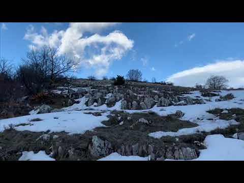 Rocca di Cambio: l’incontro ravvicinato con i lupi VIDEO