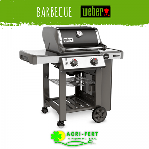 Scegli il Barbecue migliore per te, a Carbone, a Gas, Elettrico! Da AGRI FERT le migliori case specializzate e tanto di più!