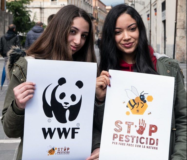 Teramo, il Wwf organizza un flashmob per fermare i pesticidi FOTO