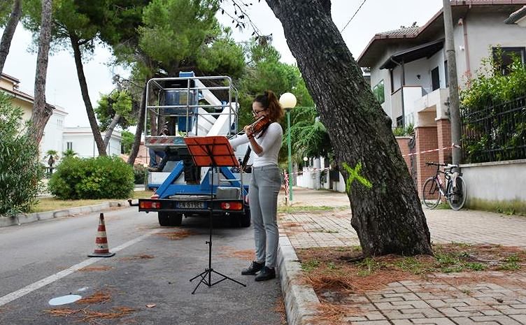 Pescara, partito il processo agli attivisti di Salviamo gli alberi