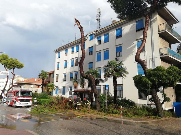 Maltempo Giulianova, pino si spezza e finisce davanti alla caserma dei carabinieri FOTO