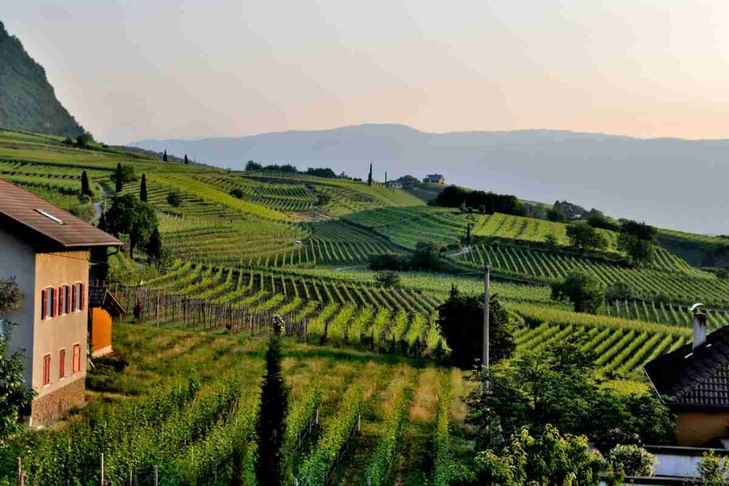 panorama sui campi di uno dei migliori agriturismi abruzzesi