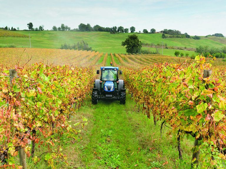 Abruzzo, cala il numero delle aziende agricole: lo studio del Cresa