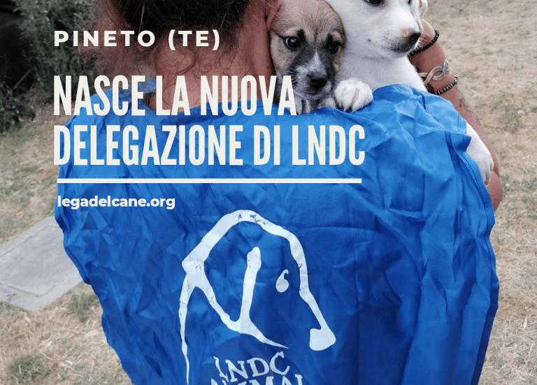 Difesa del Cane: la rete di volontari raggiunge anche Pineto