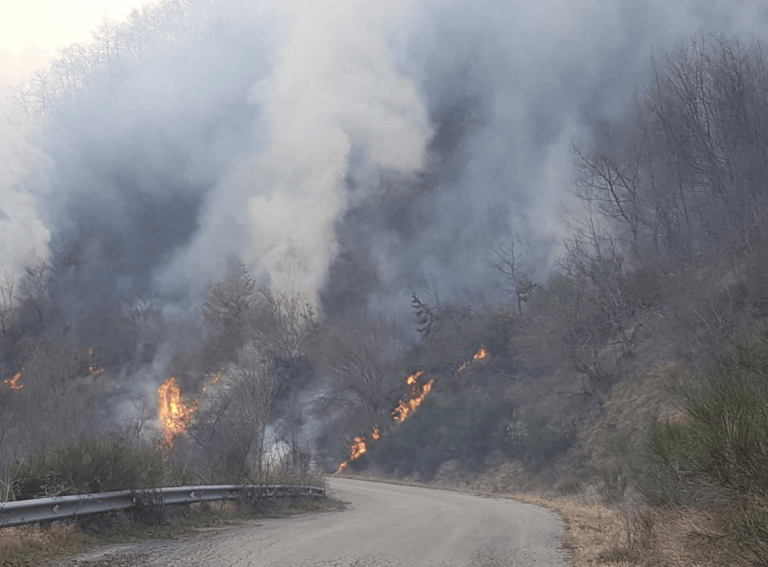 Torricella, l’incendio di Abetemozzo provocato dalla caduta di un albero su linea Enel FOTO