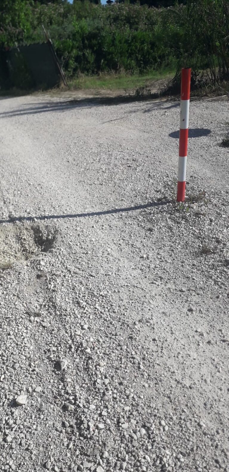 Roseto, nuovi atti vandalici nella Riserva del Borsacchio: distrutti pali pista ciclabile
