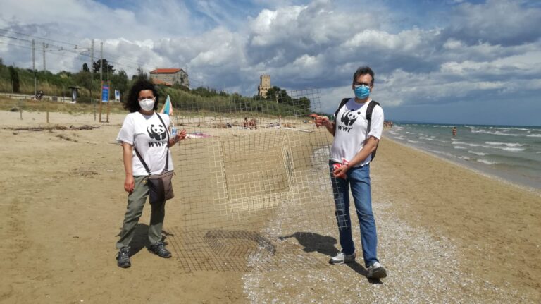 Ripulito un tratto di spiaggia dell’AMP Torre di Cerrano: tra i rifiuti, soprattutto plastica FOTO