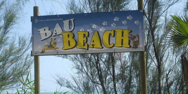 Martinsicuro, fissate le regole delle due spiagge per cani: consentita anche la balneazione