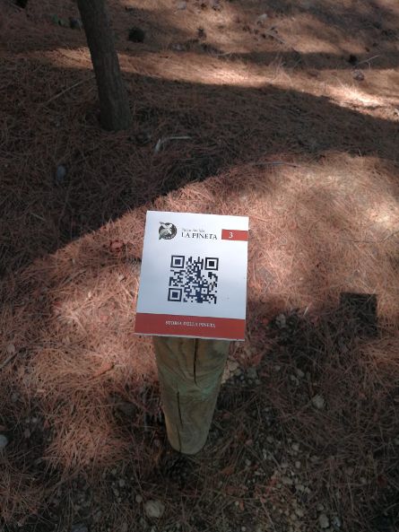Martinsicuro, Fosso Giardino: il percorso digitale per visitare l’oasi del WWF
