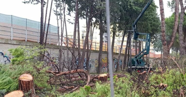 Montesilvano, cittadini e Wwf contro il taglio degli alberi all’ex FEA