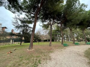 Giulianova aderisce al progetto ‘Sport nei Parchi’: ECCO DOVE