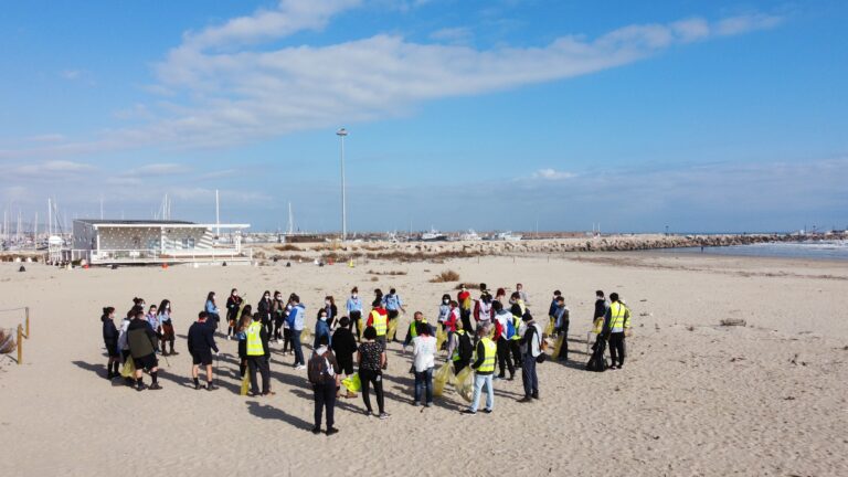 Giulianova, pulita la spiaggia dedicata al Fratino e alle specie costiere