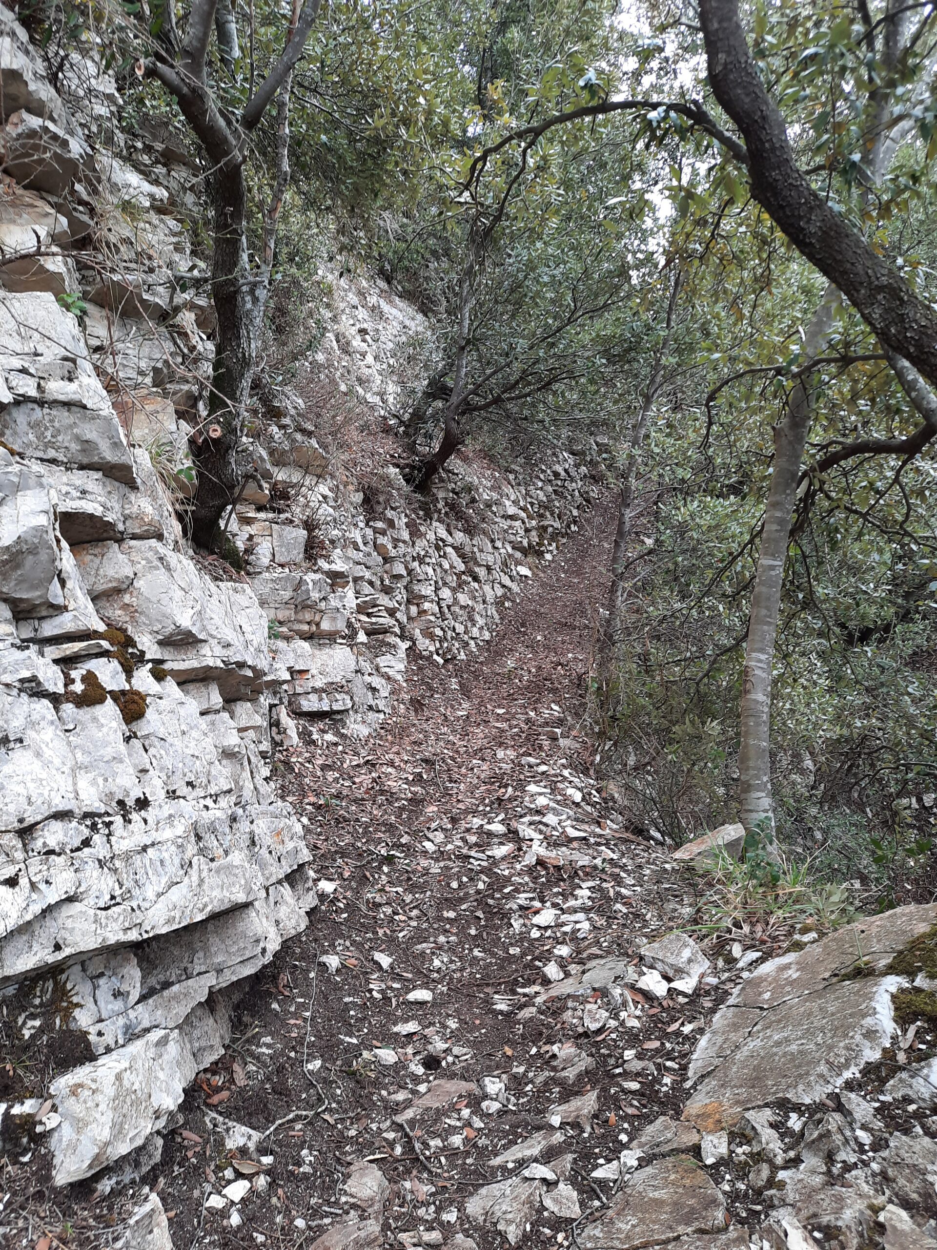 Campli, il Monticchio: la riscoperta dei sentieri centenari