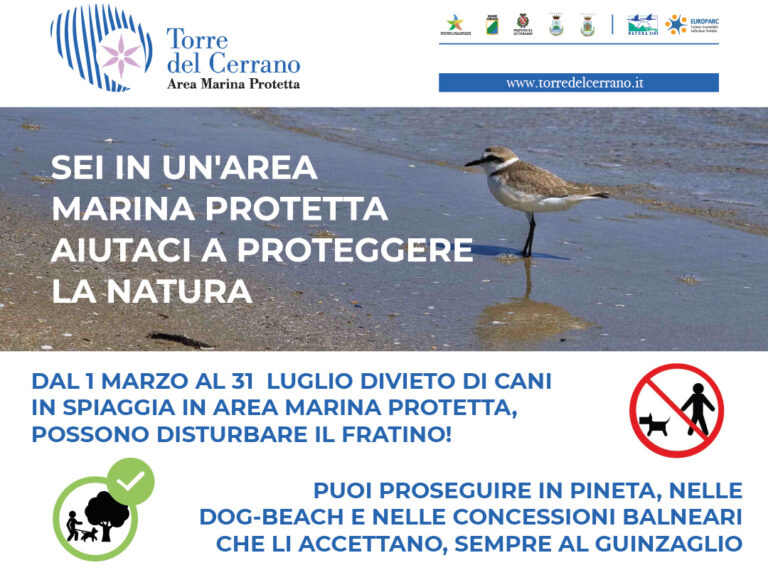 Pineto, l’AMP Cerrano ricorda il divieto di accesso ai cani sulla spiaggia protetta