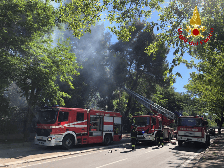 Pescara, incendio pineta: “Tavolo istituzionale contro i danni all’ambiente”
