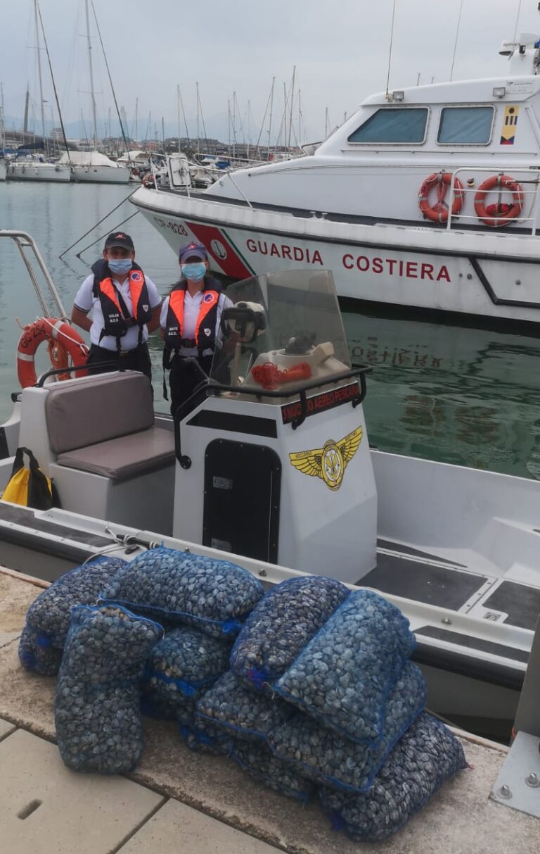 Pescara, controlli della Guardia Costiera: sequestro di pesce e vongole