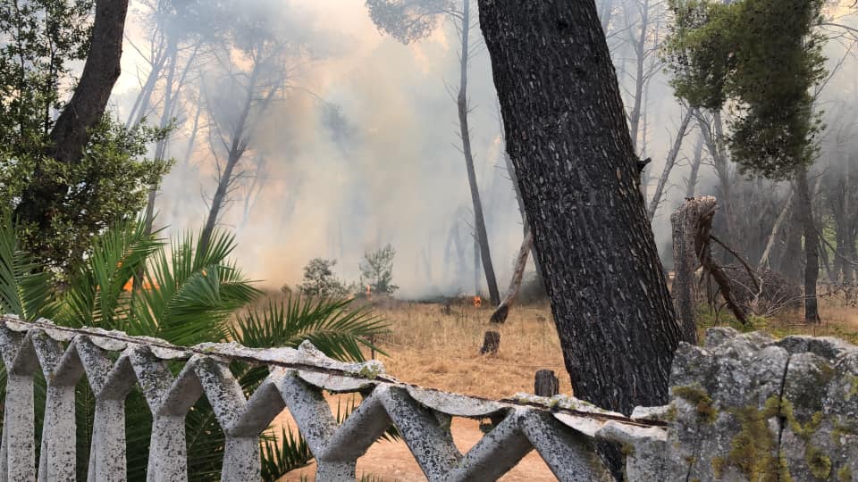 Pescara, ripartito l'incendio nella pineta dannunziana VIDEO-FOTO