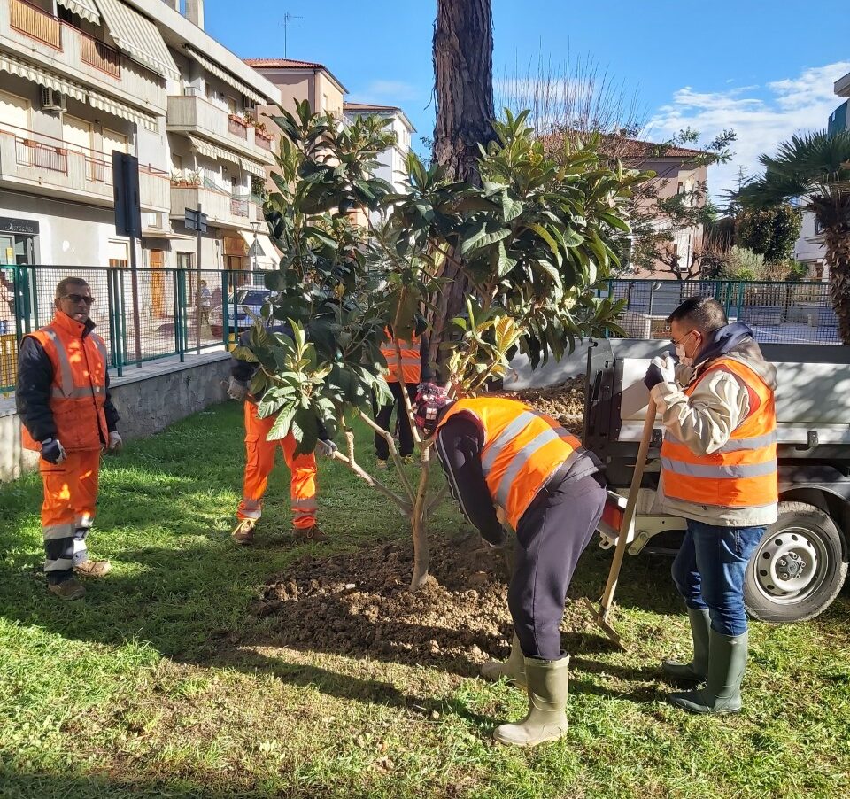 Festa dell'albero 2021 a Pineto: il Co.n.al.pa. dona 3 alberi FOTO