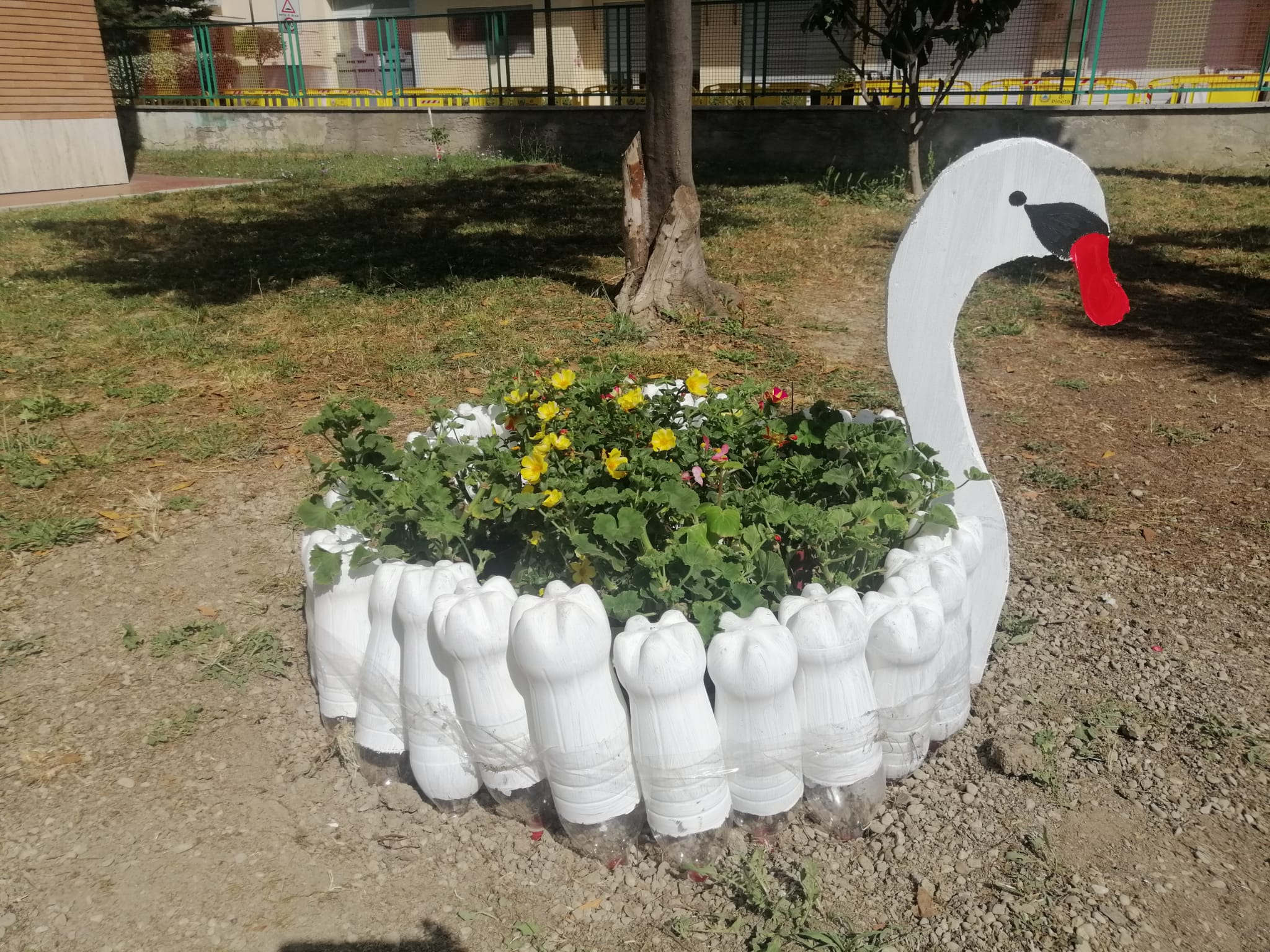 Pineto: fioriere fatte di gomma e bottiglie nel giardino della scuola elementare FOTO